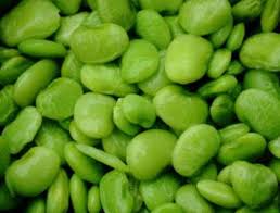 Buy Baby Lima Beans 2Lbs From Best Indian Grocery Store in Nj