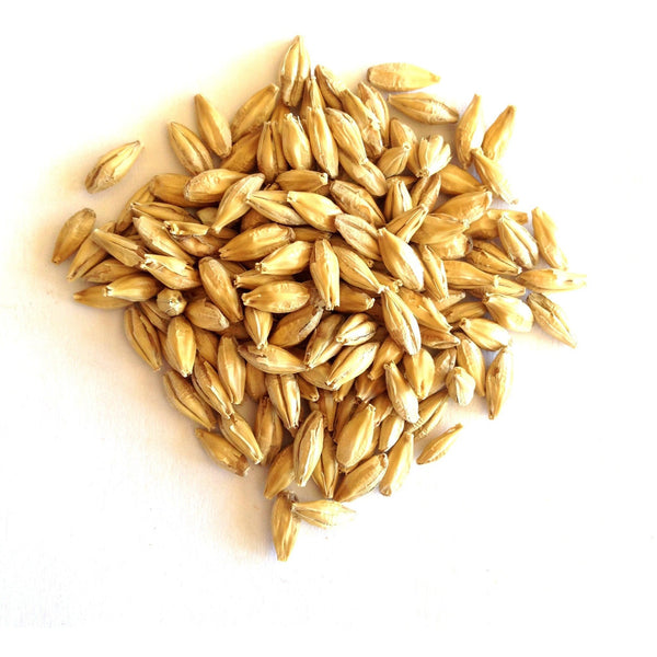 Buy Barley 2Lbs From Grofer Bazar