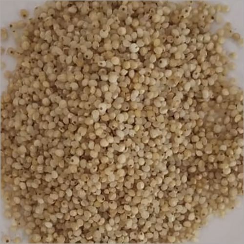 Buy Barnyard Millet 500gms From Grofer Bazar