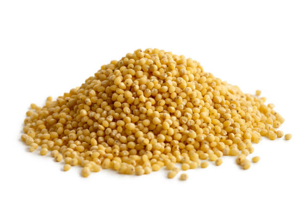 Foxtail Millet 500gms